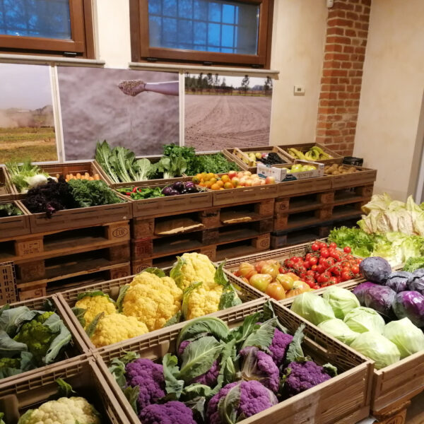 La bottega di Cascina Santa Marta a Milano